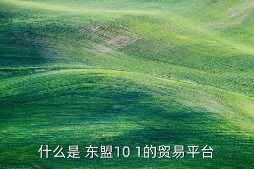 什么是 東盟10 1的貿(mào)易平臺(tái)