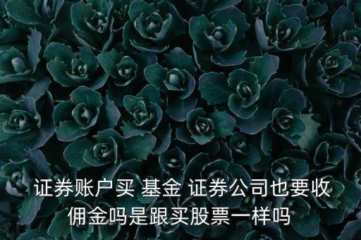 證券帳戶上買貨幣型基金手續(xù)費,證券賬戶買貨幣基金怎么看收益