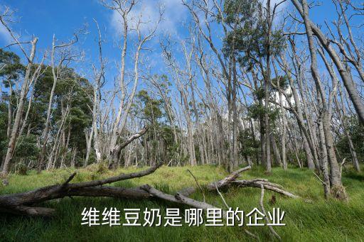 維維東北公司,維維集團(tuán)是哪里的公司