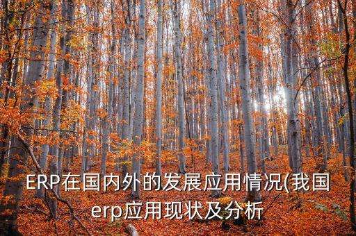 ERP在國內外的發(fā)展應用情況(我國erp應用現狀及分析