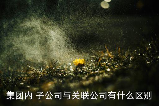 集團內(nèi) 子公司與關聯(lián)公司有什么區(qū)別