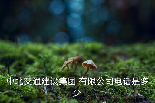 中北煤化工有限公司地址在那,鄂爾多斯市中北煤化工有限公司是國(guó)企嗎