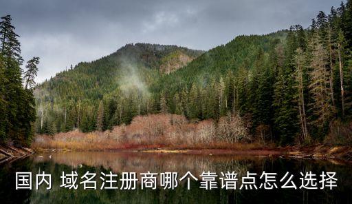 國內 域名注冊商哪個靠譜點怎么選擇