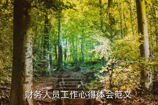 財務人員工作心得體會范文