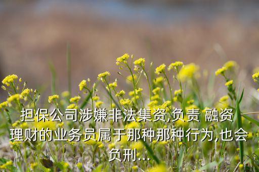 擔保公司涉嫌非法集資,負責 融資 理財?shù)臉I(yè)務(wù)員屬于那種那種行為,也會負刑...