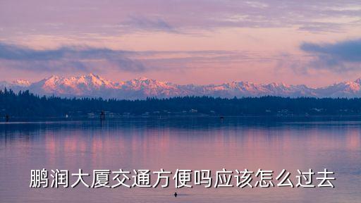  鵬潤(rùn)大廈交通方便嗎應(yīng)該怎么過去