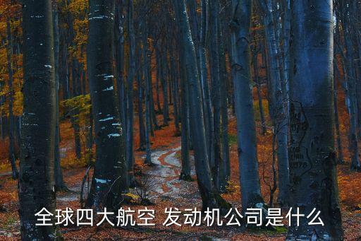 發(fā)動(dòng)機(jī)集團(tuán),韓慧云 中國航空發(fā)動(dòng)機(jī)集團(tuán)