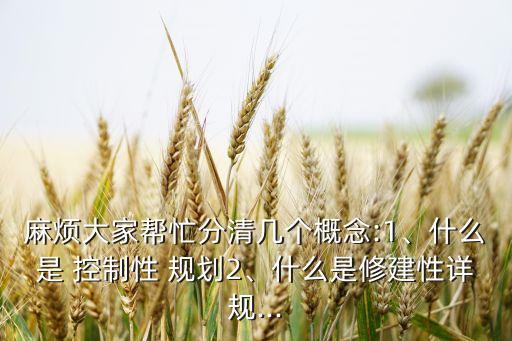 麻煩大家?guī)兔Ψ智鍘讉€(gè)概念:1、什么是 控制性 規(guī)劃2、什么是修建性詳規(guī)...
