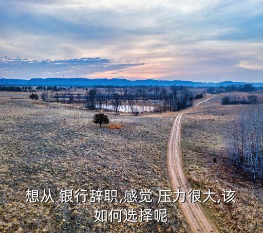 銀行工作壓力太大,銀行業(yè)績(jī)考核壓力太大