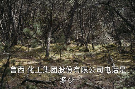  魯西 化工集團股份有限公司電話是多少