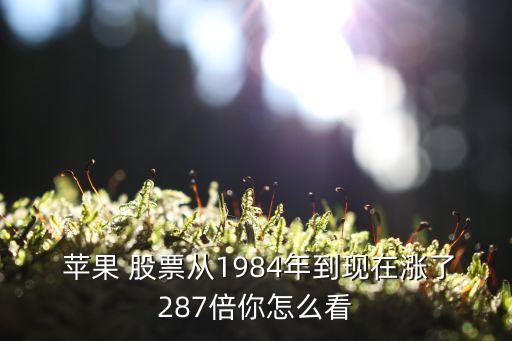 蘋果手機公司股票股價,蘋果股票2003年股價