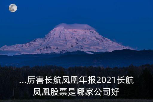 ...厲害長航鳳凰年報(bào)2021長航鳳凰股票是哪家公司好