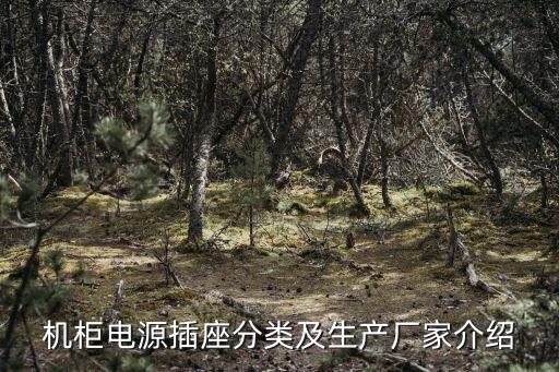 深圳市國(guó)電巨龍電氣技術(shù)有限公司