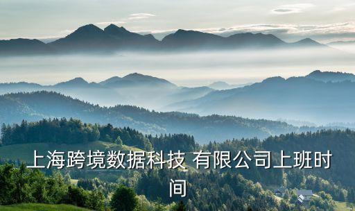  上?？缇硵?shù)據(jù)科技 有限公司上班時間