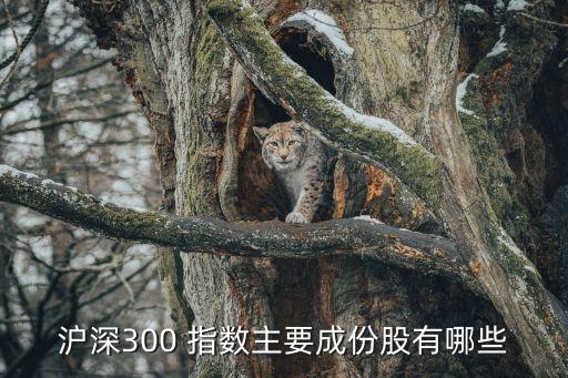 滬深300 指數主要成份股有哪些