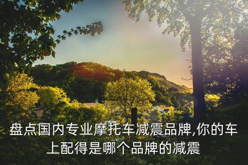 盤點(diǎn)國(guó)內(nèi)專業(yè)摩托車減震品牌,你的車上配得是哪個(gè)品牌的減震