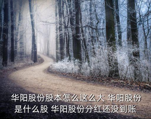  華陽(yáng)股份股本怎么這么大 華陽(yáng)股份是什么股 華陽(yáng)股份分紅還沒(méi)到賬