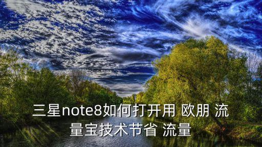 三星note8如何打開(kāi)用 歐朋 流量寶技術(shù)節(jié)省 流量