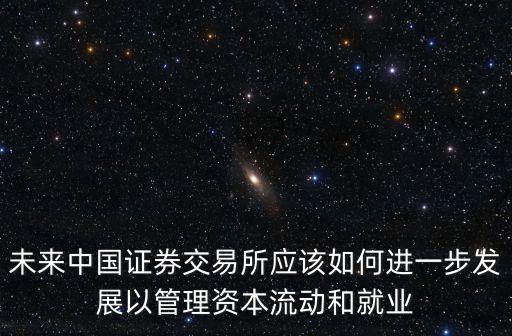 未來中國證券交易所應(yīng)該如何進(jìn)一步發(fā)展以管理資本流動(dòng)和就業(yè)