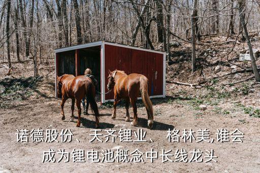 諾德股份、天齊鋰業(yè)、 格林美,誰會成為鋰電池概念中長線龍頭