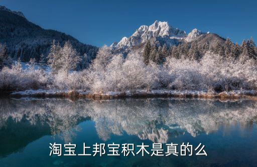 持有邦寶益智相關股票