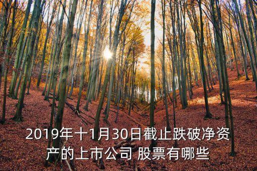 2019年十1月30日截止跌破凈資產的上市公司 股票有哪些