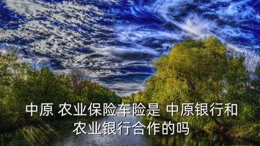  中原 農(nóng)業(yè)保險(xiǎn)車險(xiǎn)是 中原銀行和 農(nóng)業(yè)銀行合作的嗎