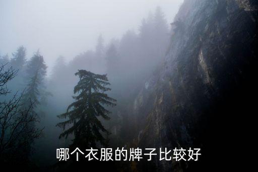 服裝品牌上市公司,國產(chǎn)服裝品牌排行榜前十名上市公司