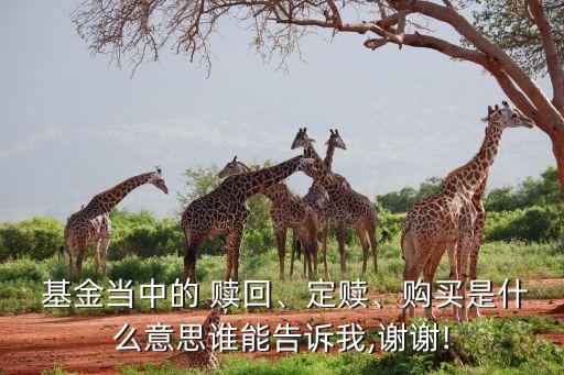  基金當(dāng)中的 贖回、定贖、購(gòu)買是什么意思誰(shuí)能告訴我,謝謝!