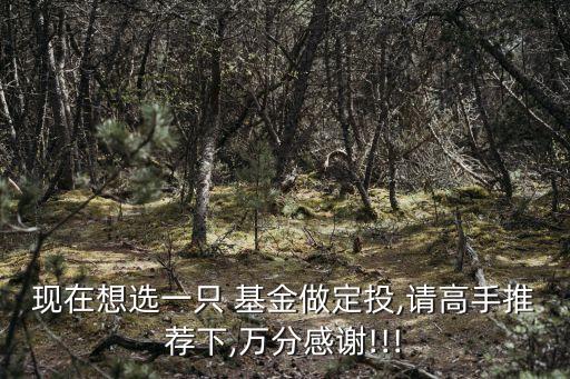 現在想選一只 基金做定投,請高手推薦下,萬分感謝!!!