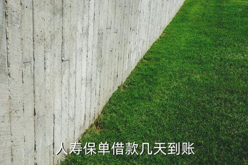 中國(guó)人壽app貸款