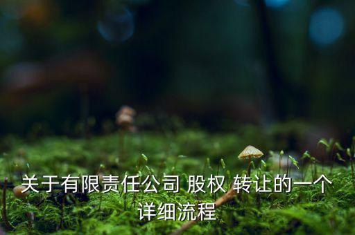 關于有限責任公司 股權 轉讓的一個詳細流程