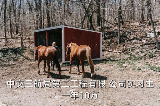 航務二公司,湖南航務公司