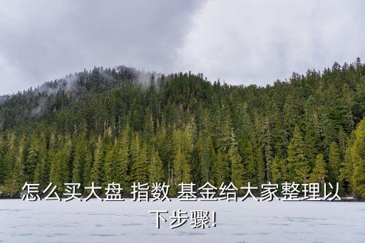 上證指數(shù)基金怎么買,有沒(méi)有買上證指數(shù)的基金