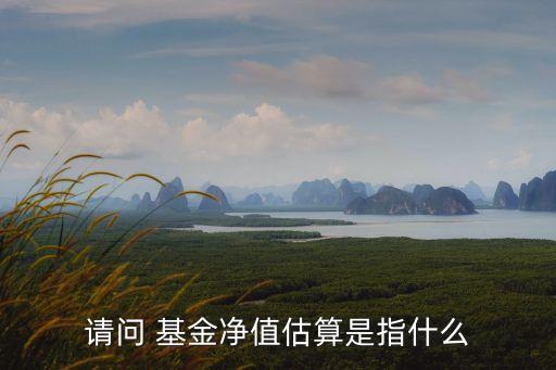 請問 基金凈值估算是指什么