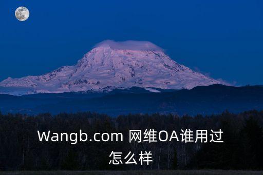 杭州網維有限公司,青島網維互動軟件有限公司