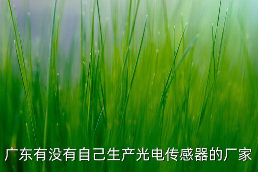 廣東有沒有自己生產光電傳感器的廠家