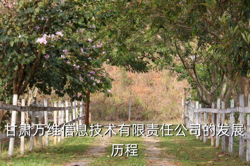 甘肅萬(wàn)維信息技術(shù)有限責(zé)任公司的發(fā)展歷程