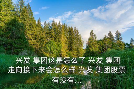  興發(fā) 集團這是怎么了 興發(fā) 集團走向接下來會怎么樣 興發(fā) 集團股票有沒有...