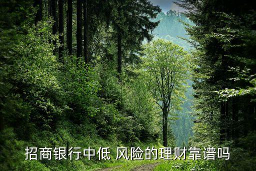 招商銀行中低 風險的理財靠譜嗎