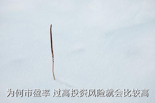 為何市盈率 過高投資風(fēng)險(xiǎn)就會比較高