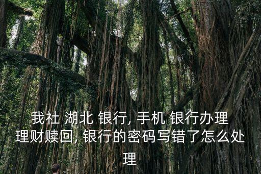 我社 湖北 銀行, 手機(jī) 銀行辦理理財(cái)贖回, 銀行的密碼寫(xiě)錯(cuò)了怎么處理
