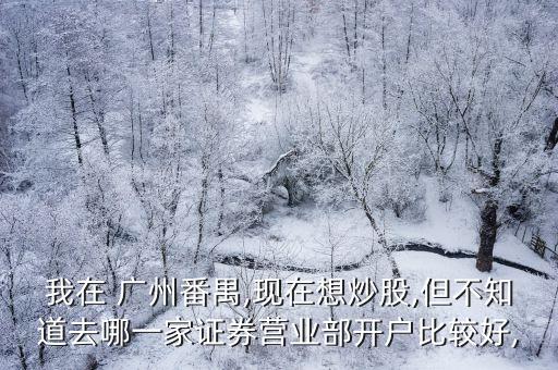我在 廣州番禺,現(xiàn)在想炒股,但不知道去哪一家證券營(yíng)業(yè)部開(kāi)戶比較好,