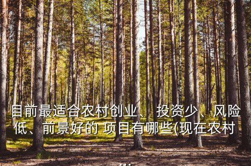 目前最適合農(nóng)村創(chuàng)業(yè)、 投資少、風(fēng)險(xiǎn)低、前景好的 項(xiàng)目有哪些(現(xiàn)在農(nóng)村...