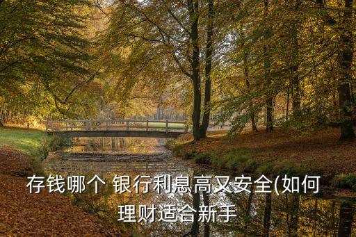 存錢哪個 銀行利息高又安全(如何 理財適合新手