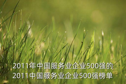2011年中國服務(wù)業(yè)企業(yè)500強的2011中國服務(wù)業(yè)企業(yè)500強榜單