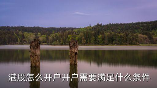  港股怎么開(kāi)戶(hù)開(kāi)戶(hù)需要滿(mǎn)足什么條件
