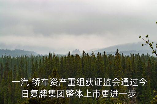  一汽 轎車資產(chǎn)重組獲證監(jiān)會通過今日復牌集團整體上市更進一步