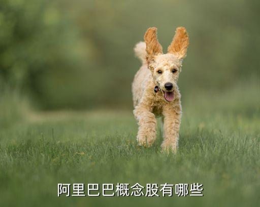 蘇寧云商非公開(kāi)發(fā)行股票