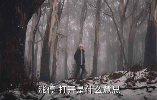 股票反復(fù)打開漲停說(shuō)明什么,股票漲停后反復(fù)打開,封單撤了又封